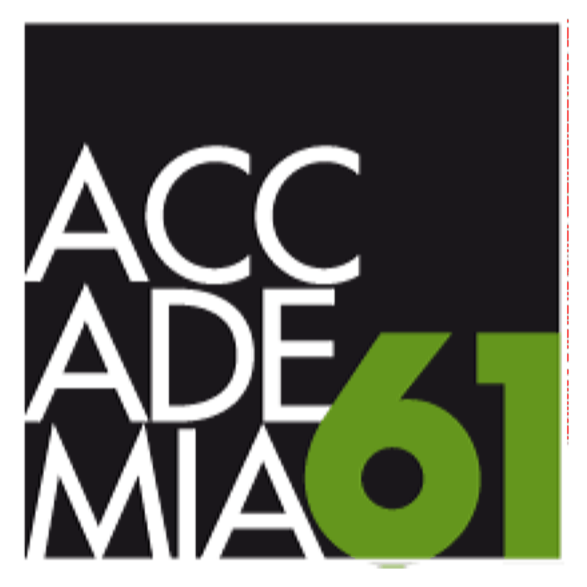 www.accademia61.it